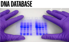 DNA Database